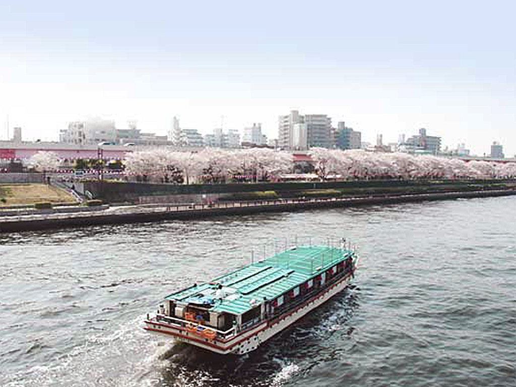 隅田川のお花見に屋形船