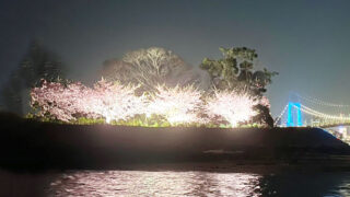 お台場　桜プロジェクト