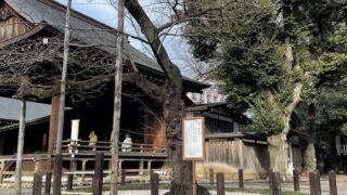 桜の便りが・・・。空き状況更新