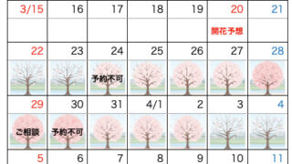 🌸2026年隅田川さくら見ごろ予想🌸