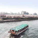 屋形船で見る隅田川の桜