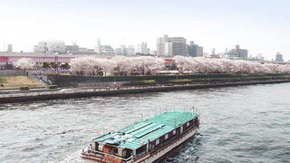 お詫びと是正対応についてのご報告