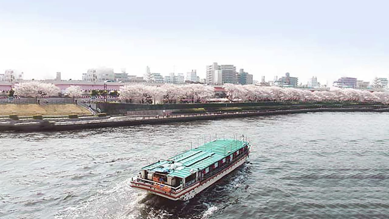 屋形船でお花見受付中